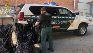 La Guardia Civil de Cuenca detiene a una persona con 45 kilos de marihuana