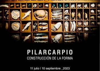 Pilar Carpio amplía su presencia expositiva en Cuenca