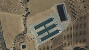 Pueblos Vivos de Cuenca denuncia que está en tramitación una nueva macrogranja porcina en Ledaña