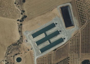 Pueblos Vivos de Cuenca denuncia que está en tramitación una nueva macrogranja porcina en Ledaña