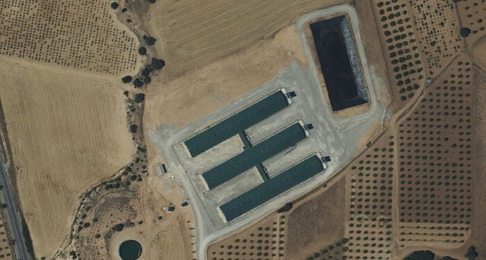 Pueblos Vivos de Cuenca denuncia que está en tramitación una nueva macrogranja porcina en Ledaña