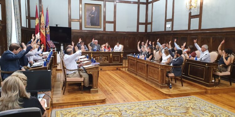 votacion pleno organizacion diputacion