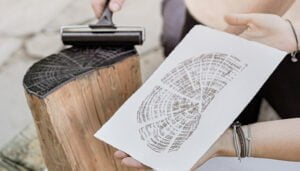 Albalate de Zorita albergará en septiembre el taller ¿Cómo pintan los árboles dentro del programa Dinamiz-ARTj