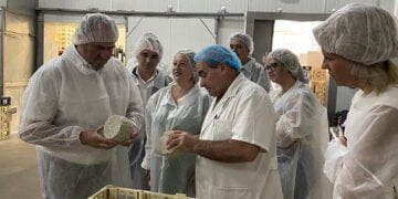 El Gobierno de Castilla-La Mancha señala el queso manchego como una enseña regional y un producto de referencia nacional e internacional