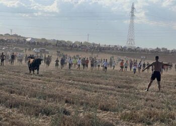 Herido por asta de toro un hombre de 45 años en el encierro de Fontanar