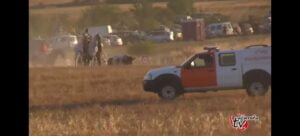Dos heridos por asta de toro en el encierro de Brihuega 