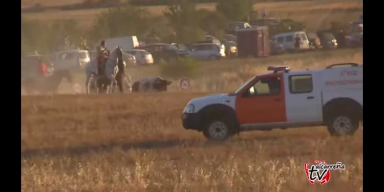 Dos heridos por asta de toro en el encierro de Brihuega