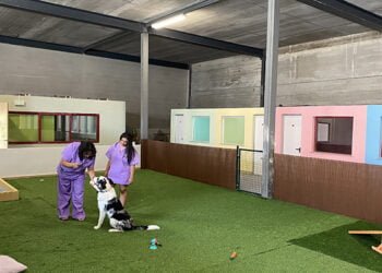 Invierte en Cuenca respalda la puesta en marcha en Cuenca del Hotel Mimascota