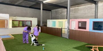 Invierte en Cuenca respalda la puesta en marcha en Cuenca del Hotel Mimascota