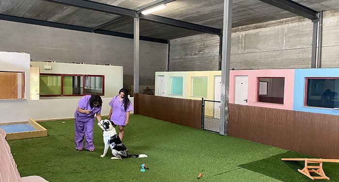 Invierte en Cuenca respalda la puesta en marcha en Cuenca del Hotel Mimascota