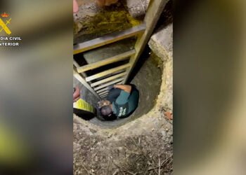 La Guardia Civil rescata un perro que había caído a un pozo en Tarancón