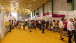 La XLIX Feria Internacional del Ajo de Las Pedroñeras registró alrededor de 15.000 visitantes