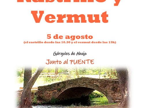 Rastrillo y vermut para salvar la ermita de Gárgoles de Abajo 1 Rastrillo y vermut para salvar la ermita de Gárgoles de Abajo
