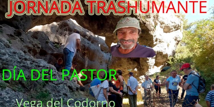 Reportaje. Jornada Trashumante y Día del Pastor en Vega del Codorno