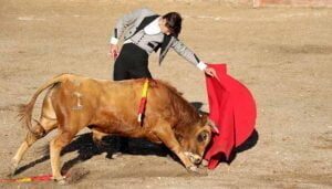 Siete orejas en la clase práctica tamajonera del certamen 'Guadalajara busca torero'
