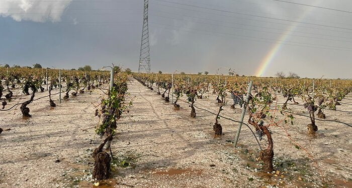 ASAJA pide que se activen todos los mecanismos de ayuda y apoyo para paliar los destrozos de las tormentas 1 ASAJA pide que se activen todos los mecanismos de ayuda y apoyo para paliar los destrozos de las tormentas