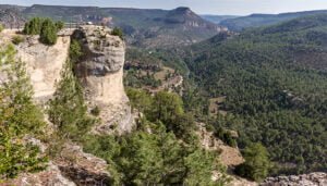 Los parques naturales de Guadalajara ofrecen 18 rutas y actividades extraordinarias y gratuitas hasta el mes de diciembre