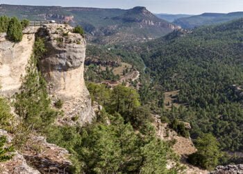 Los parques naturales de Guadalajara ofrecen 18 rutas y actividades extraordinarias y gratuitas hasta el mes de diciembre