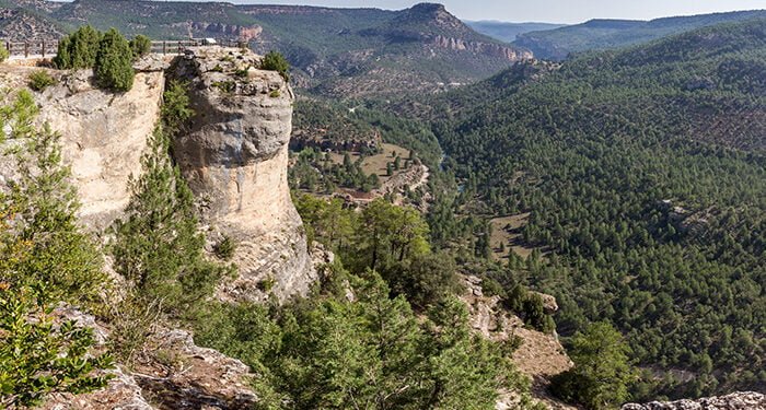 Los parques naturales de Guadalajara ofrecen 18 rutas y actividades extraordinarias y gratuitas hasta el mes de diciembre 1 Los parques naturales de Guadalajara ofrecen 18 rutas y actividades extraordinarias y gratuitas hasta el mes de diciembre