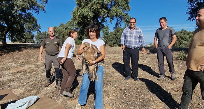Castilla-La Mancha consolida la recuperación del águila imperial ibérica en la región y se convierte en referencia mundial en la conservación de la especie 1 Castilla-La Mancha consolida la recuperación del águila imperial ibérica en la región y se convierte en referencia mundial en la conservación de la especie