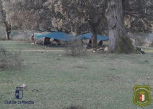 Denunciadas ocho personas por acampar sin autorización y hacer fuego en la Sierra Norte de Guadalajara