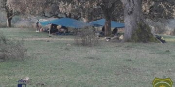 Denunciadas ocho personas por acampar sin autorización y hacer fuego en la Sierra Norte de Guadalajara