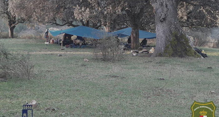 Denunciadas ocho personas por acampar sin autorización y hacer fuego en la Sierra Norte de Guadalajara