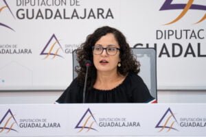 diputacion de guadalajara 1