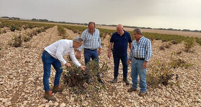 El delegado de Agricultura visita San Clemente y Las Mesas para interesarse por el estado del campo conquense tras el paso de la DANA 1 El delegado de Agricultura visita San Clemente y Las Mesas para interesarse por el estado del campo conquense tras el paso de la DANA