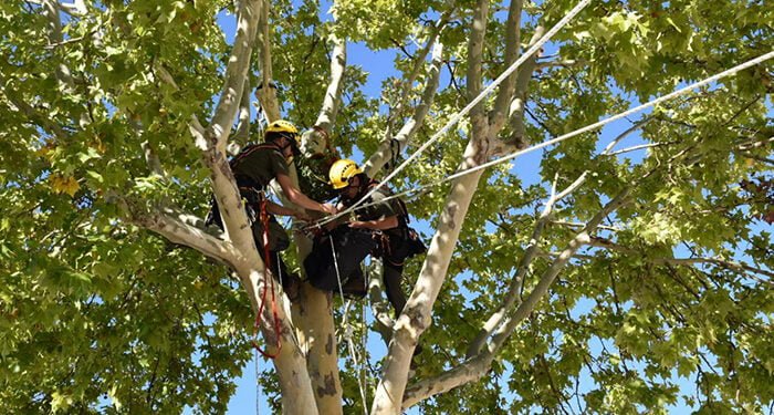 El Gobierno de Castilla-La Mancha ensalza la labor del cuerpo de agentes medioambientales de la región y apuesta por la formación en seguridad