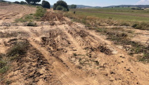 El PP critica que la Diputación de Cuenca elimine 1’5 millones de euros destinados a caminos y carreteras de la provincia e insiste en la “imperiosa” necesidad de estas inversiones