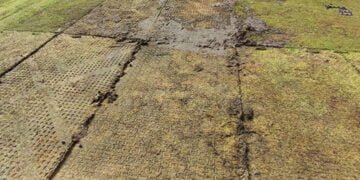 Territorio Musical asegura que restablecerá la totalidad del césped de La Fuensanta si es necesario