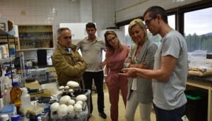 En Cuenca se están estudiando de manera científica los hongos cultivados