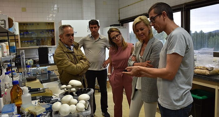 En Cuenca se están estudiando de manera científica los hongos cultivados 1 En Cuenca se están estudiando de manera científica los hongos cultivados