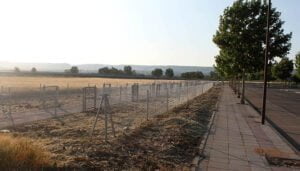 Este miércoles abre el plazo para solicitar alguno de los 27 nuevos huertos urbanos municipales de Cabanillas