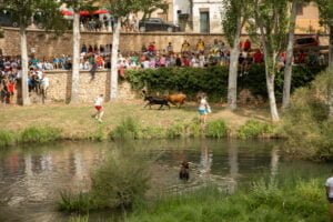 fiestas trillo 23 00002