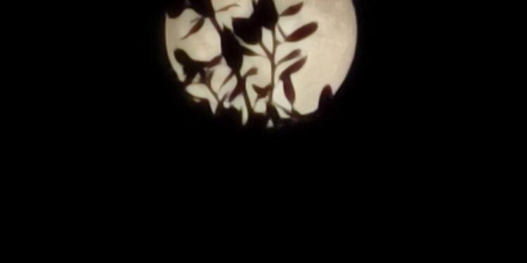 Un Vivo X90 Pro, vive la Luna de la Cosecha en Cuenca