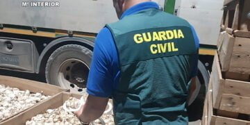 Investigadas tres personas en la Mancha conquense por apropiación indebida y estafa se quedaron los ajos que no eran suyos