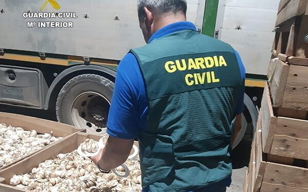 Investigadas tres personas en la Mancha conquense por apropiación indebida y estafa se quedaron los ajos que no eran suyos