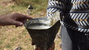 La Diputación de Cuenca destinará 16.860 euros en ayudas directas para autónomos del sector de la resina en la provincia