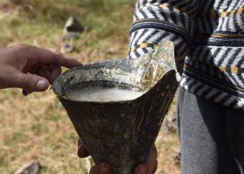 La Diputación de Cuenca destinará 16.860 euros en ayudas directas para autónomos del sector de la resina en la provincia