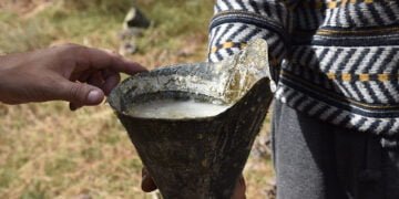 La Diputación de Cuenca destinará 16.860 euros en ayudas directas para autónomos del sector de la resina en la provincia