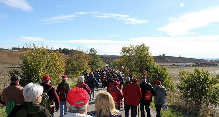 La Diputación de Guadalajara subvenciona a más de 70 asociaciones y 50 ayuntamientos actividades sociales y de igualdad
