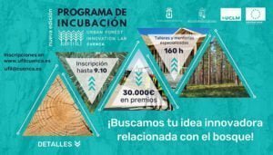 El nuevo programa de incubación de UFIL ofrece 30.000 euros en premios para proyectos innovadores de bioeconomía forestal
