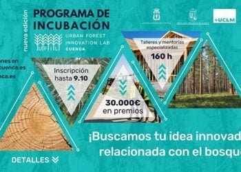 El nuevo programa de incubación de UFIL ofrece 30.000 euros en premios para proyectos innovadores de bioeconomía forestal