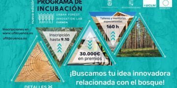 El nuevo programa de incubación de UFIL ofrece 30.000 euros en premios para proyectos innovadores de bioeconomía forestal