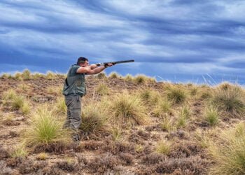 El SEPRONA detecta más de 30 infracciones sobre las piezas obtenidas en actividades cinegéticas en la provincia de Cuenca El SEPRONA detecta más de 30 infracciones sobre las piezas obtenidas en actividades cinegéticas en la provincia de Cuenca