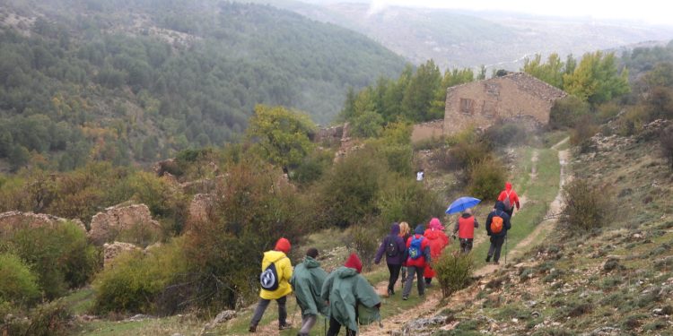 El campus de senderismo de la Diputación de Cuenca se desarrolla en medio del paisaje otoñal del “Sendero de las Dehesas” 1 campus liga 28oct23 5