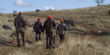 Castilla-La Mancha ha iniciado este domingo 8 de octubre una nueva temporada hábil de caza mayor y menor