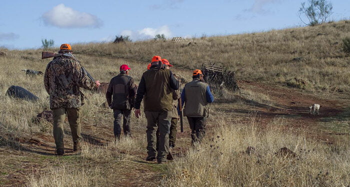 Castilla-La Mancha inicia este domingo la temporada hábil de caza mayor y menor 1 Castilla-La Mancha ha iniciado este domingo 8 de octubre una nueva temporada hábil de caza mayor y menor